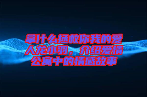 拿什么拯救你我的愛(ài)人龍小羽，介紹愛(ài)情公寓中的情感故事