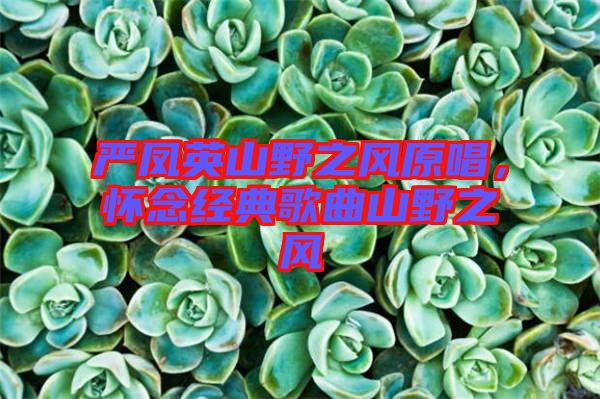 嚴鳳英山野之風(fēng)原唱，懷念經(jīng)典歌曲山野之風(fēng)