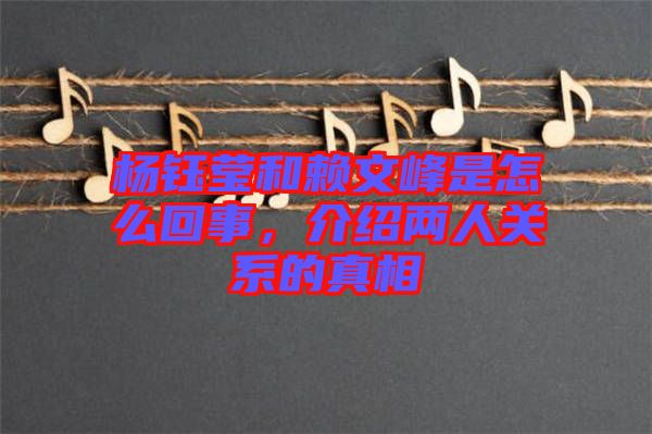 楊鈺瑩和賴文峰是怎么回事，介紹兩人關(guān)系的真相