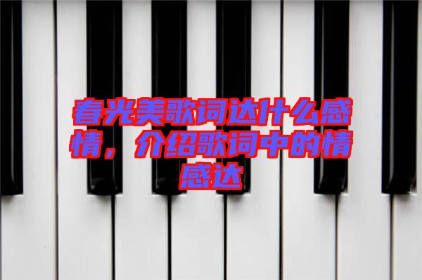 春光美歌詞達(dá)什么感情，介紹歌詞中的情感達(dá)