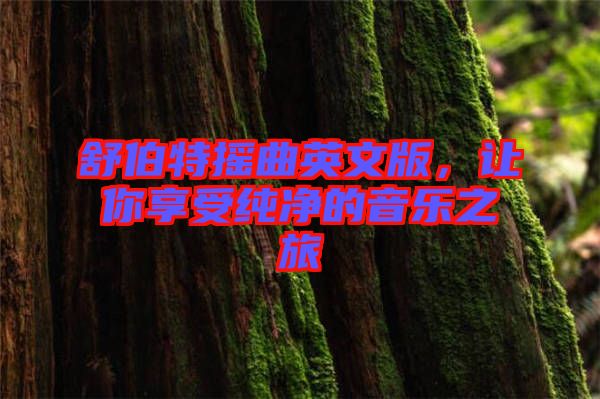 舒伯特?fù)u曲英文版，讓你享受純凈的音樂(lè)之旅