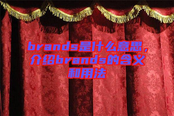 brands是什么意思，介紹brands的含義和用法