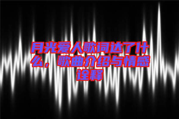 月光愛人歌詞達了什么，歌曲介紹與情感詮釋