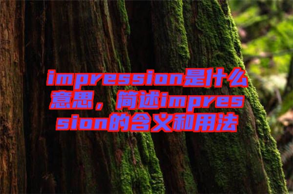 impression是什么意思，簡(jiǎn)述impression的含義和用法