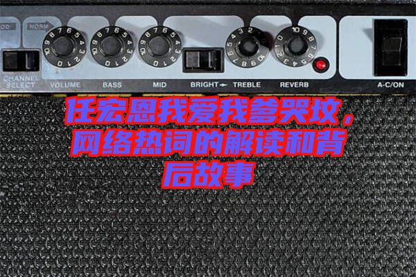 任宏恩我愛我爹哭墳，網(wǎng)絡熱詞的解讀和背后故事