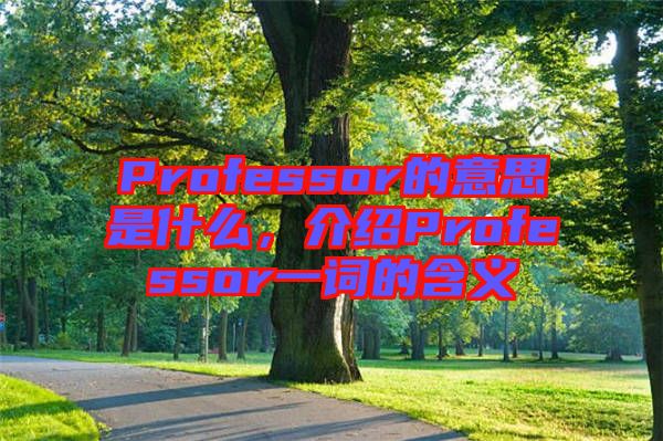 Professor的意思是什么，介紹Professor一詞的含義