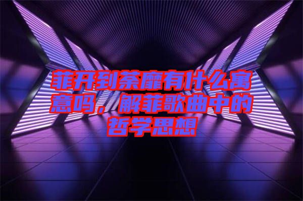 菲開到荼靡有什么寓意嗎，解菲歌曲中的哲學(xué)思想