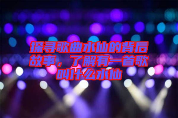 探尋歌曲水仙的背后故事，了解有一首歌叫什么水仙