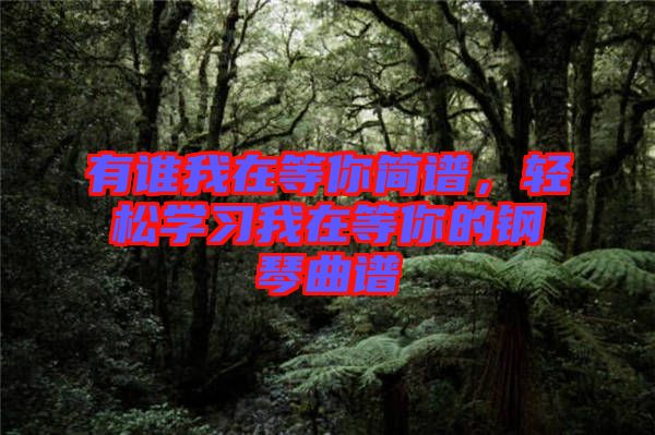 有誰(shuí)我在等你簡(jiǎn)譜，輕松學(xué)習(xí)我在等你的鋼琴曲譜