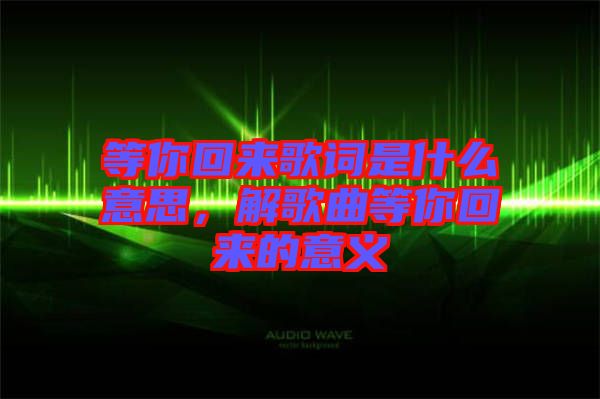 等你回來歌詞是什么意思，解歌曲等你回來的意義