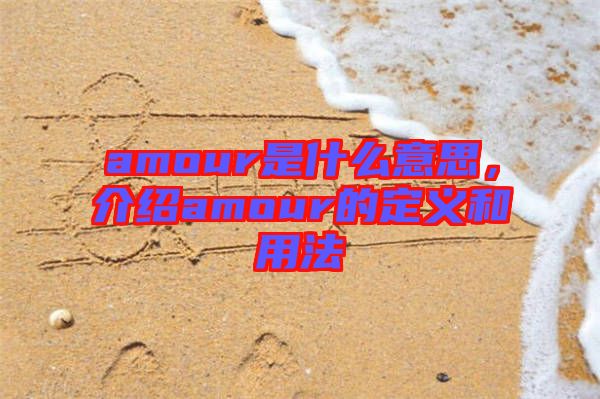 amour是什么意思，介紹amour的定義和用法