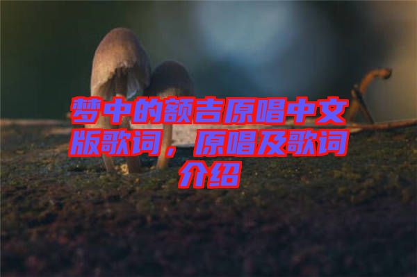 夢(mèng)中的額吉原唱中文版歌詞，原唱及歌詞介紹