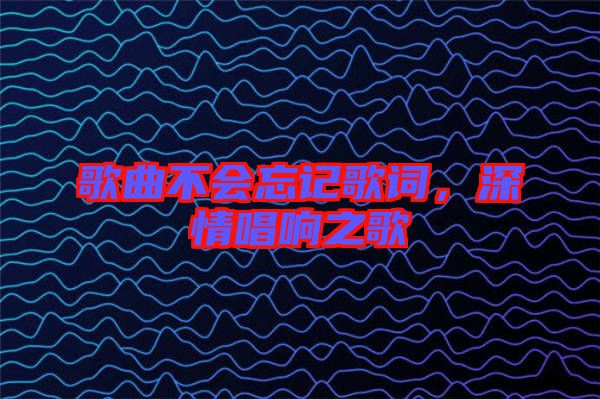 歌曲不會(huì)忘記歌詞，深情唱響之歌