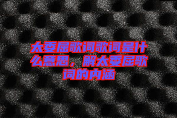 太委屈歌詞歌詞是什么意思，解太委屈歌詞的內涵