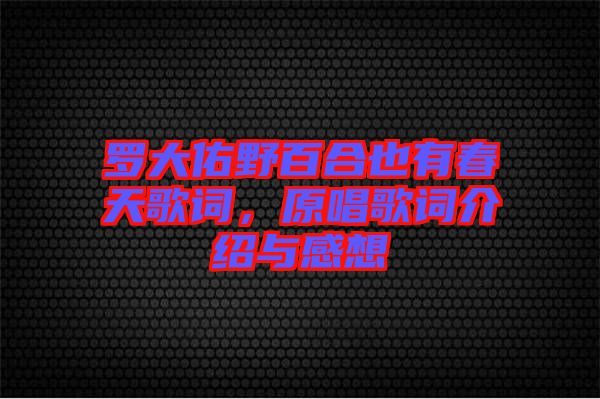 羅大佑野百合也有春天歌詞，原唱歌詞介紹與感想