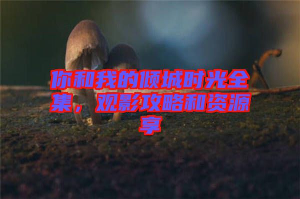 你和我的傾城時光全集，觀影攻略和資源享