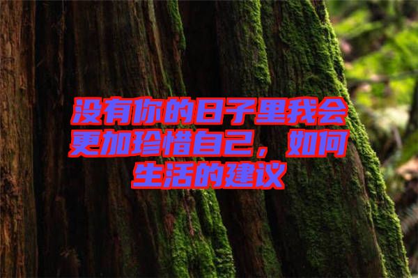 沒有你的日子里我會(huì)更加珍惜自己，如何生活的建議