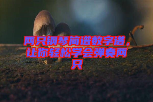 兩只鋼琴簡(jiǎn)譜數(shù)字譜，讓你輕松學(xué)會(huì)彈奏兩只