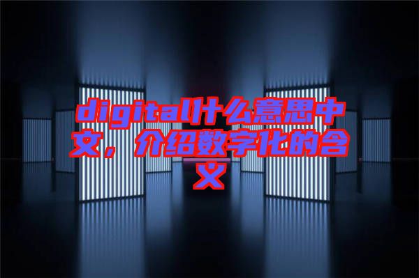 digital什么意思中文，介紹數(shù)字化的含義