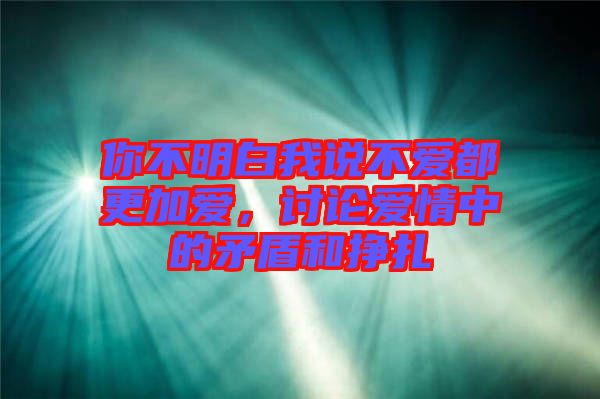 你不明白我說不愛都更加愛，討論愛情中的矛盾和掙扎