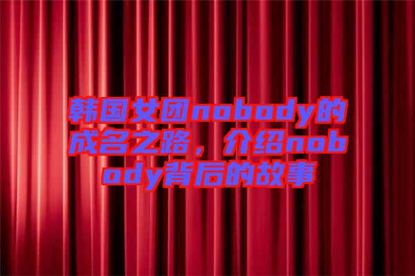 韓國(guó)女團(tuán)nobody的成名之路，介紹nobody背后的故事