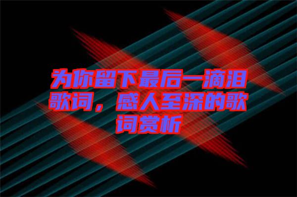 為你留下最后一滴淚歌詞，感人至深的歌詞賞析