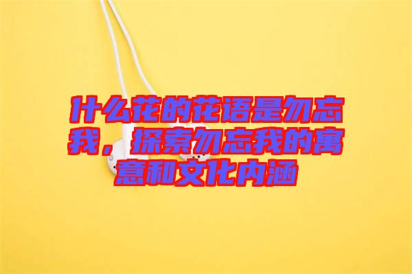 什么花的花語是勿忘我，探索勿忘我的寓意和文化內(nèi)涵