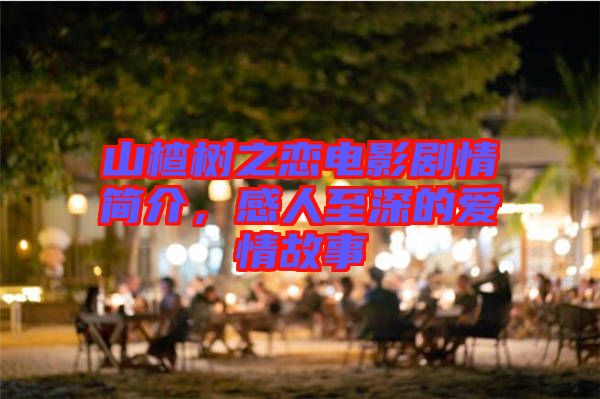 山楂樹之戀電影劇情簡(jiǎn)介，感人至深的愛情故事