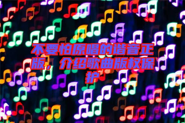 不要怕原唱的諧音正版，介紹歌曲版權(quán)保護(hù)