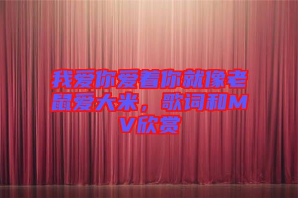 我愛你愛著你就像老鼠愛大米，歌詞和MV欣賞