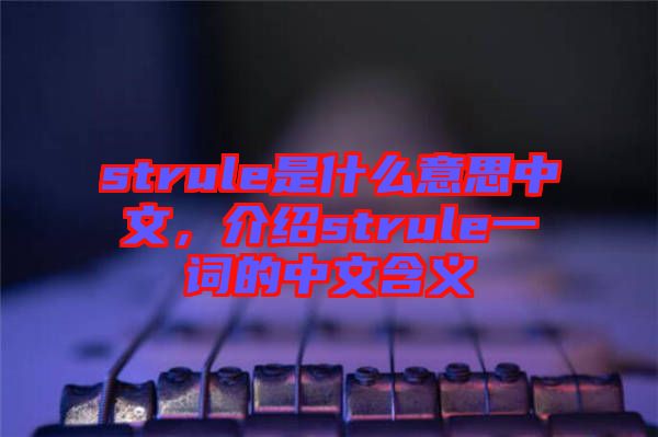 strule是什么意思中文，介紹strule一詞的中文含義