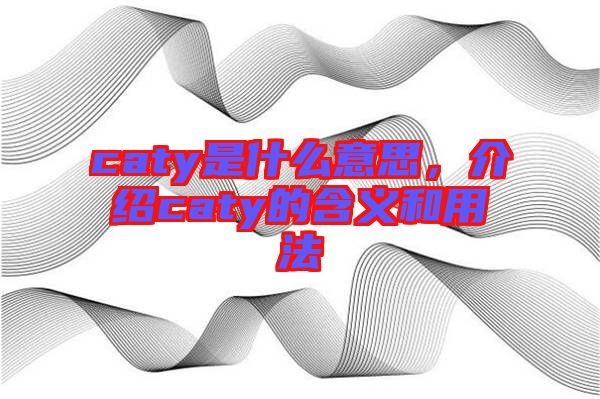 caty是什么意思，介紹caty的含義和用法