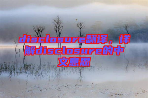 disclosure翻譯，詳解disclosure的中文意思