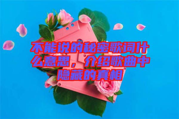 不能說的秘密歌詞什么意思，介紹歌曲中隱藏的真相