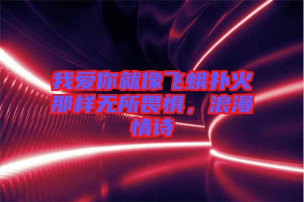 我愛你就像飛蛾撲火那樣無所畏懼，浪漫情詩