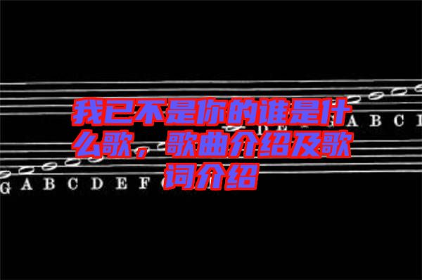 我已不是你的誰是什么歌，歌曲介紹及歌詞介紹