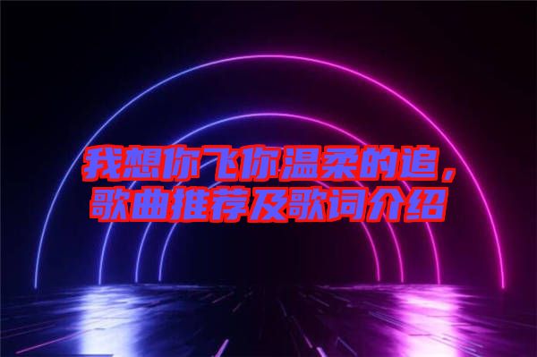 我想你飛你溫柔的追，歌曲推薦及歌詞介紹