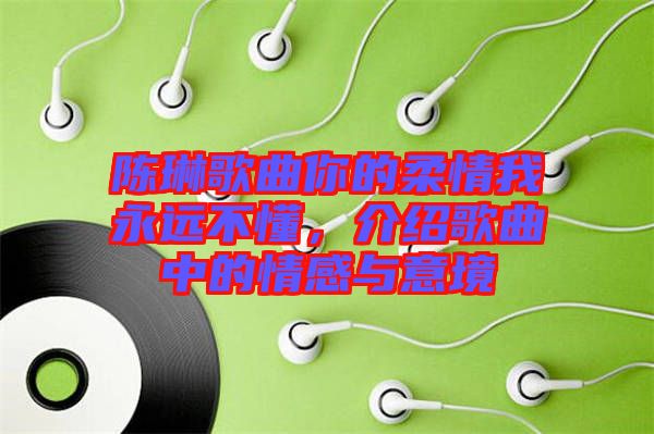 陳琳歌曲你的柔情我永遠(yuǎn)不懂，介紹歌曲中的情感與意境