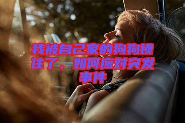 我被自己家的狗狗鎖住了，如何應(yīng)對突發(fā)事件