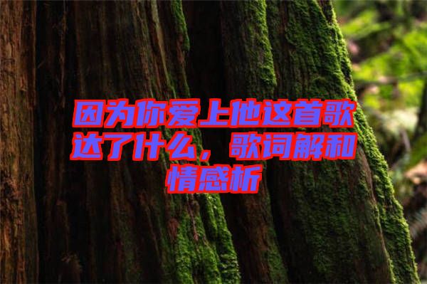 因為你愛上他這首歌達了什么，歌詞解和情感析