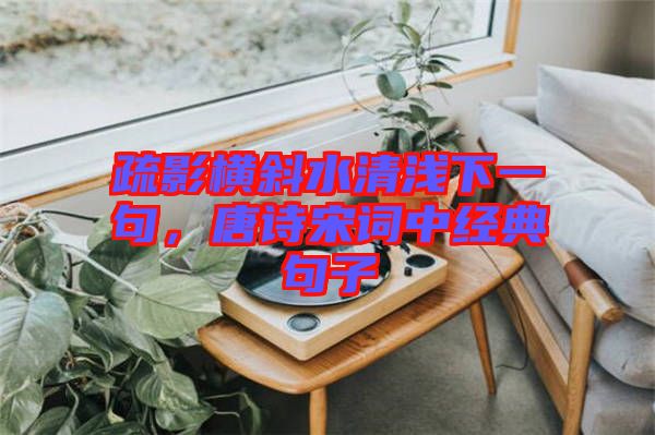 疏影橫斜水清淺下一句，唐詩(shī)宋詞中經(jīng)典句子