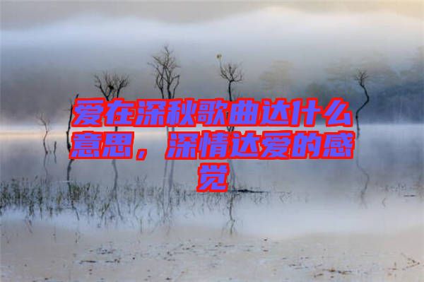 愛在深秋歌曲達什么意思，深情達愛的感覺