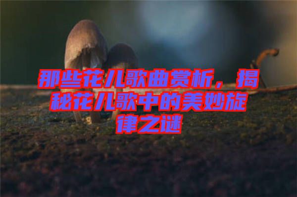 那些花兒歌曲賞析，揭秘花兒歌中的美妙旋律之謎