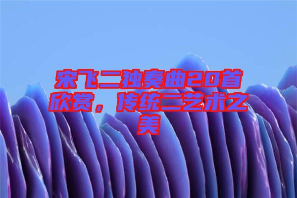 宋飛二獨(dú)奏曲20首欣賞，傳統(tǒng)二藝術(shù)之美