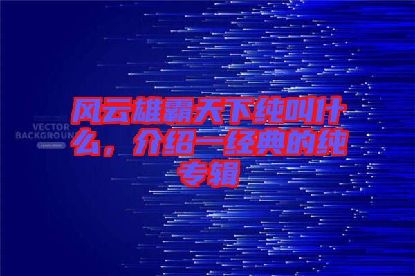 風(fēng)云雄霸天下純叫什么，介紹一經(jīng)典的純專輯