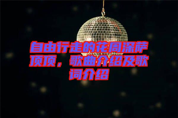 自由行走的花周深薩頂頂，歌曲介紹及歌詞介紹