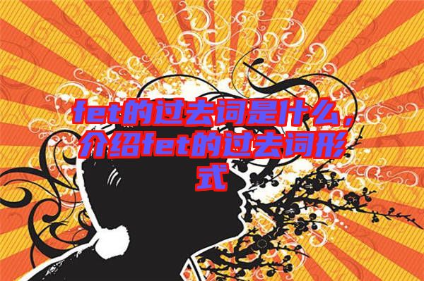 fet的過去詞是什么，介紹fet的過去詞形式