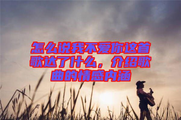 怎么說我不愛你這首歌達(dá)了什么，介紹歌曲的情感內(nèi)涵