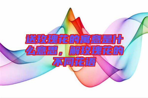 送玫瑰花的寓意是什么意思，解玫瑰花的不同花語