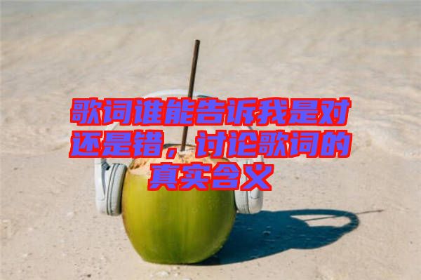 歌詞誰能告訴我是對還是錯，討論歌詞的真實含義